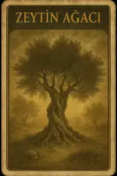 card-1